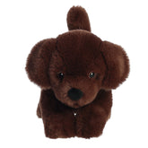 Aurora® - Eco Nation™ - 8.5" Chocolate Lab